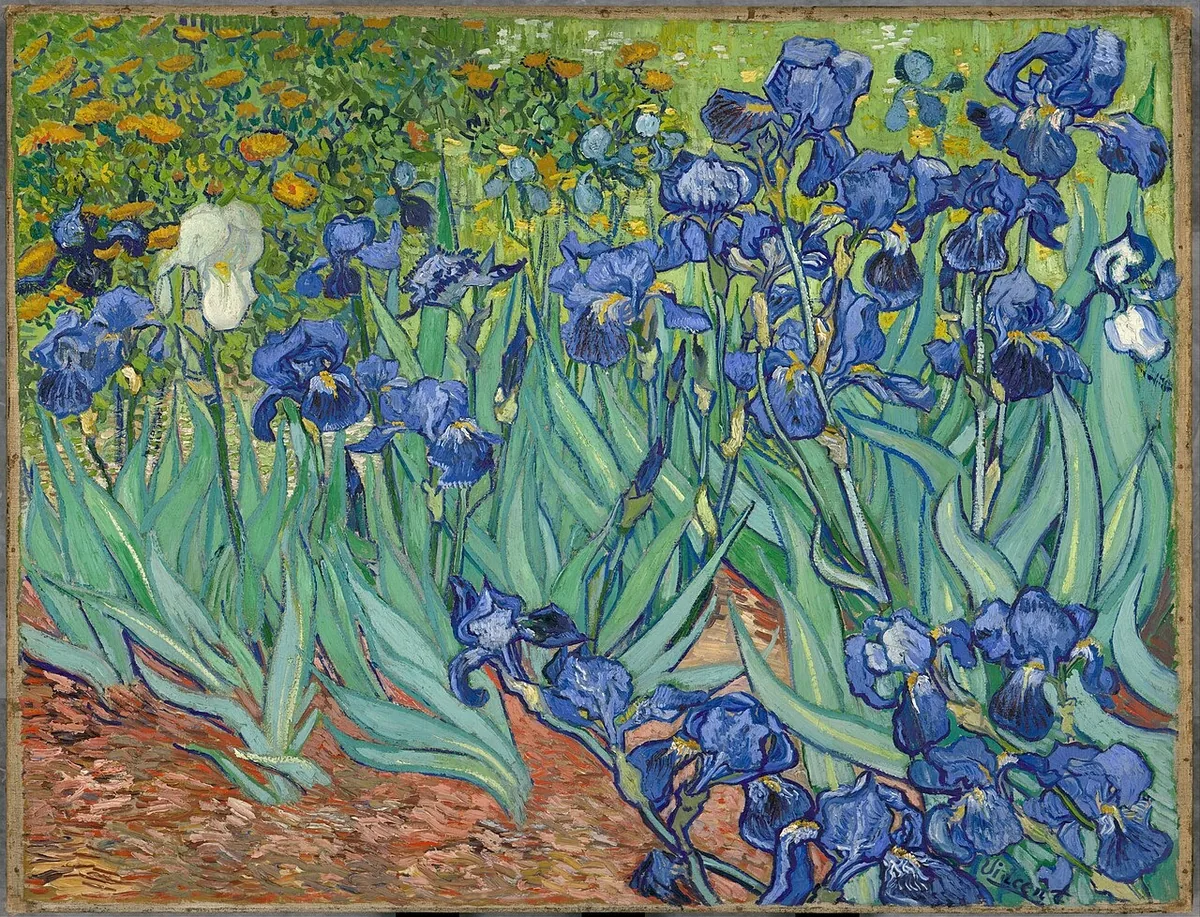 Irises — Rolled Canvas