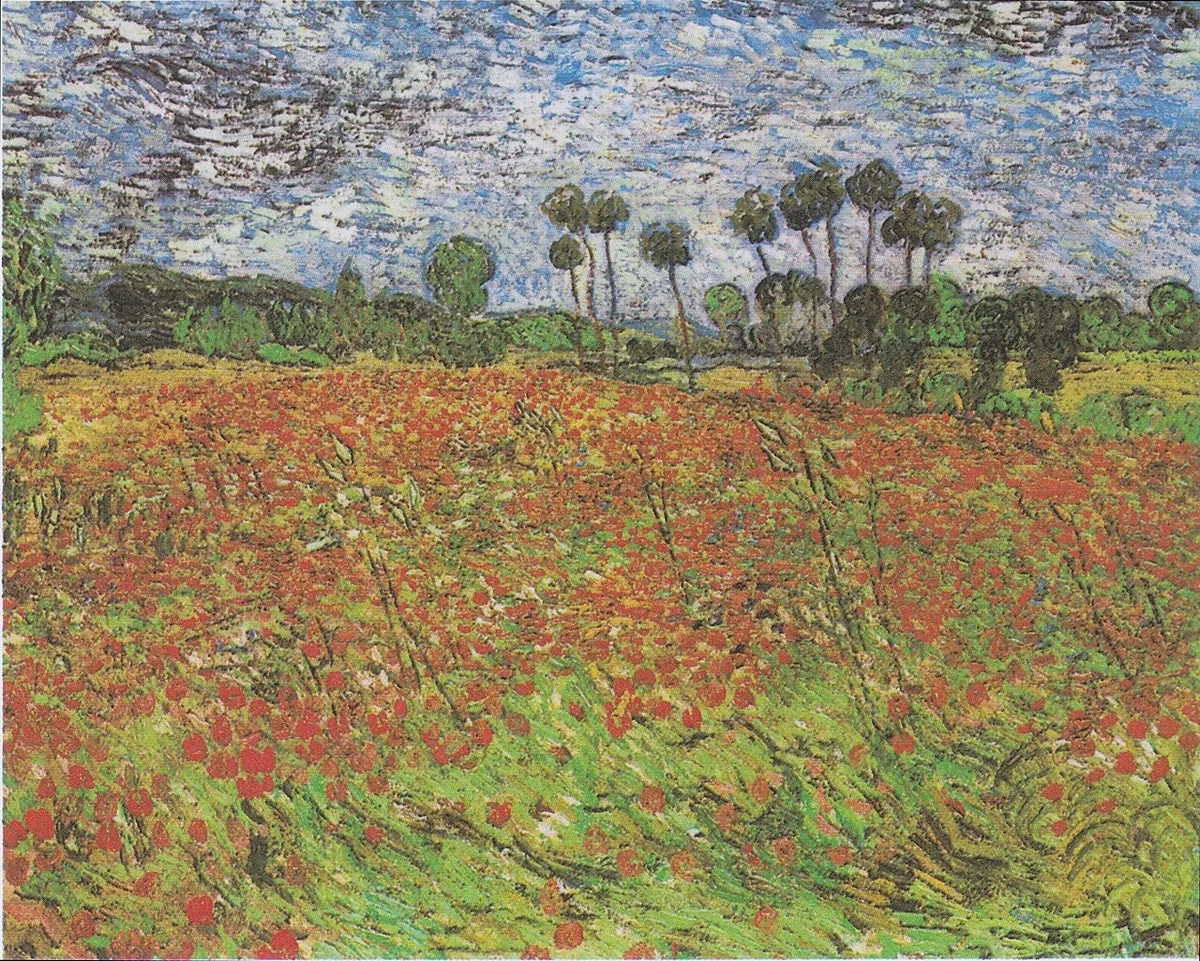 Poppy Field — Rolled Canvas